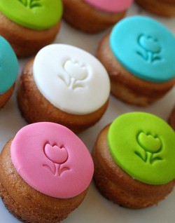 fondant 2